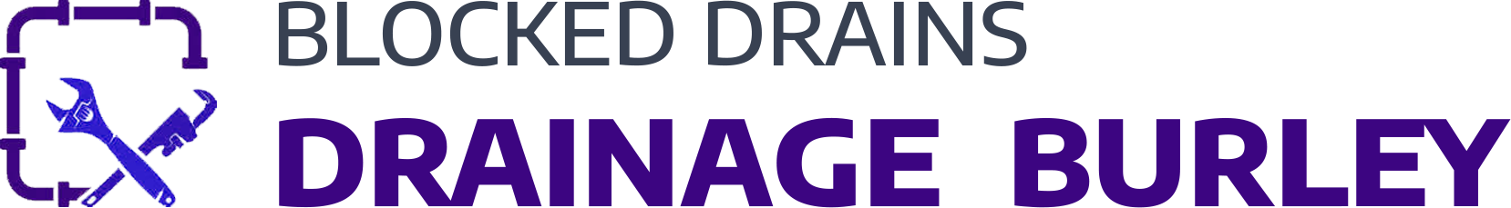 website logo